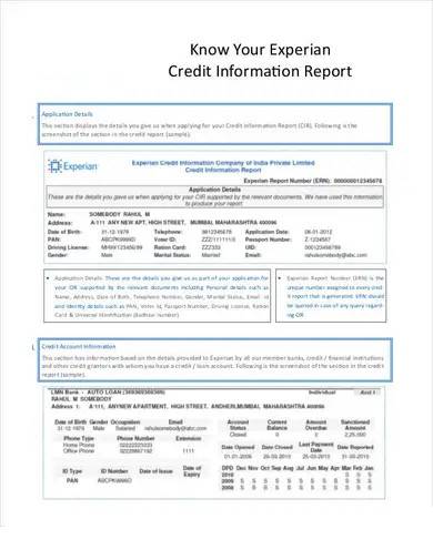 credit information report sample