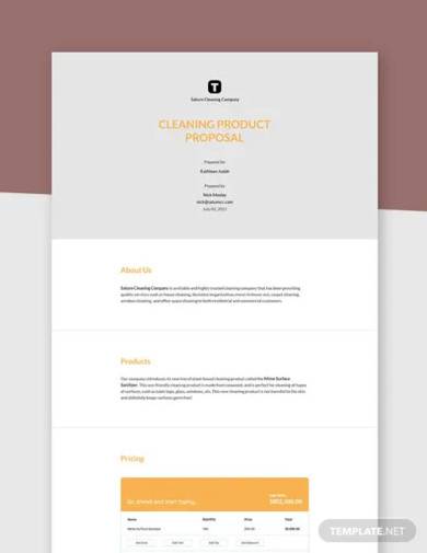 free sample product proposal template