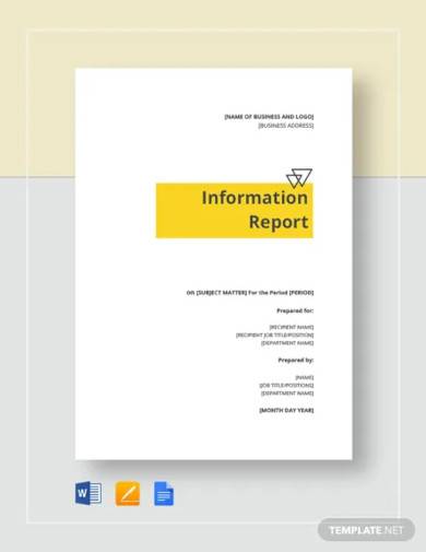 information report template
