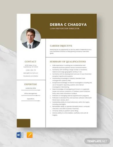 loss prevention director resume template