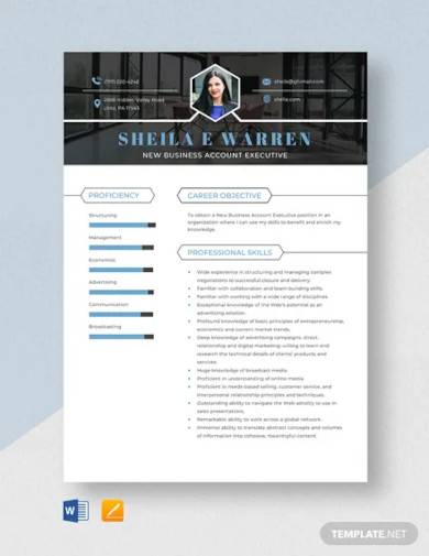 new business account executive resume template