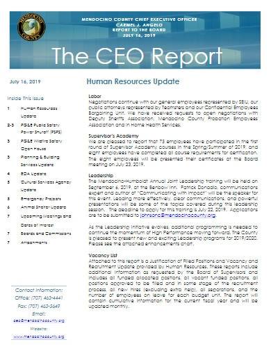 professional ceo report