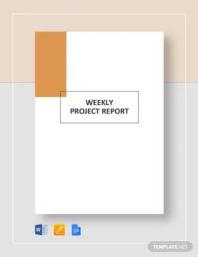 weekly project report template