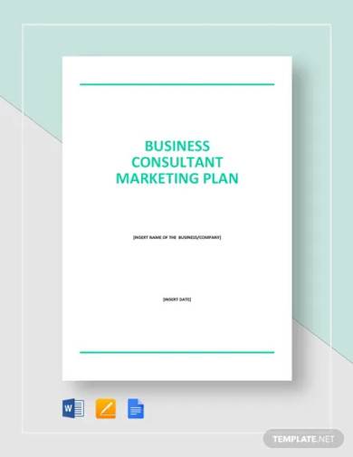 business consultant marketing plan template