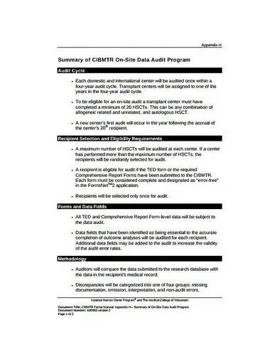 data audit program report