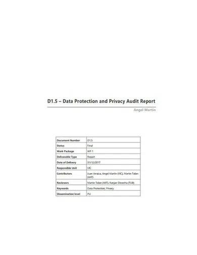 data protection and privacy audit report