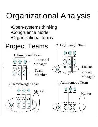 organizational analysis sample