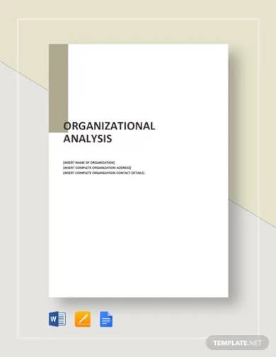 organizational analysis template
