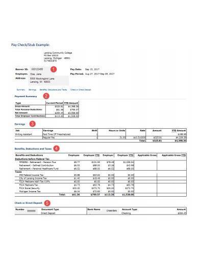 pay check stub template