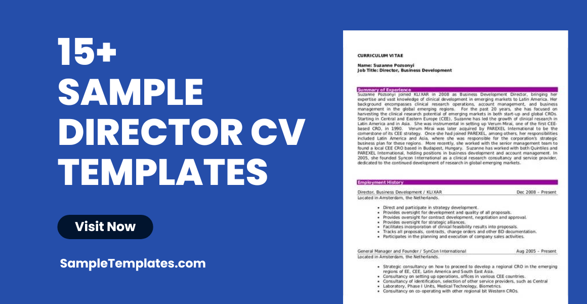 Sample Director CV Template