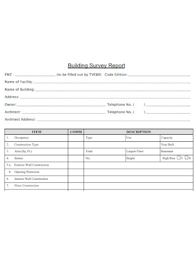 building survey report