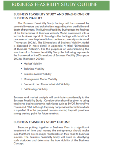 business feasibility study outline