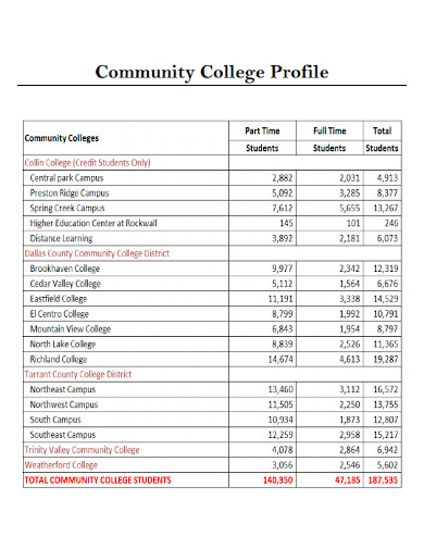 community college profile