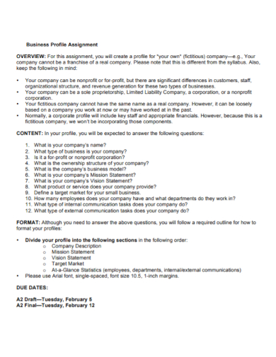 company business profile assignment