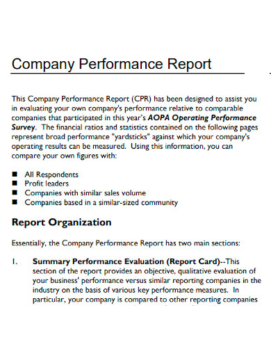 FREE 10 Company Performance Report Samples Evaluation Confidential 