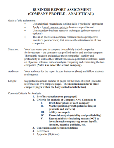 company profile analytical assignment