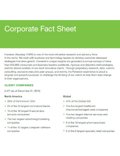 corporate company fact sheet