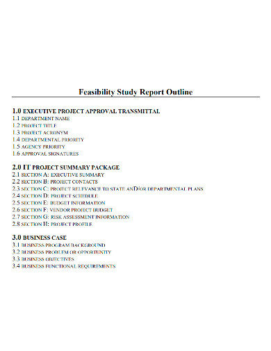 feasibility study report outline