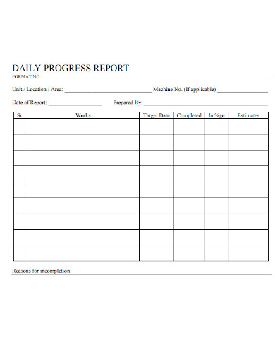 formal daily progress report