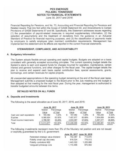 pes note financial statement