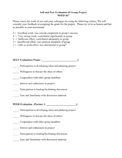 peer assessment form of project sample