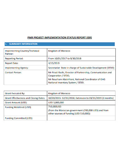 printable project implementation status report