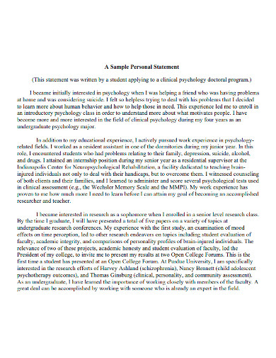 professional college application personal statement