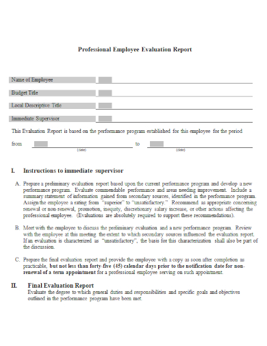 professional employee performance evaluation report
