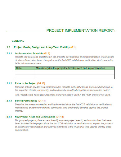 project implementation report sample