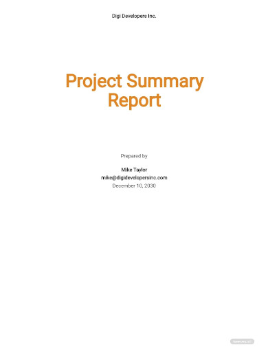 project summary report sample