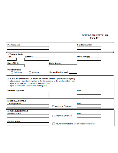service delivery plan form