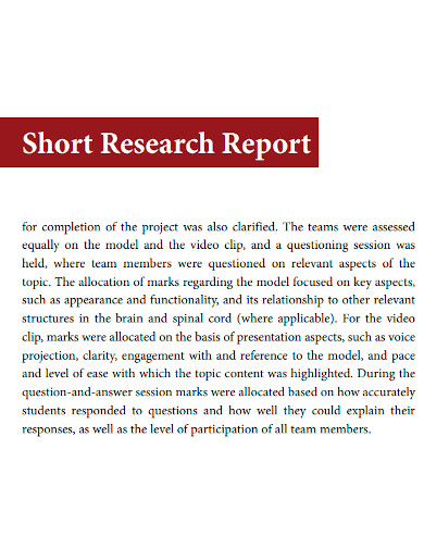 short business research report