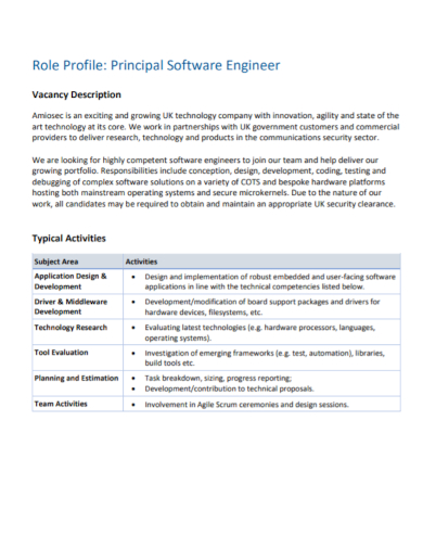 software engineer role profile