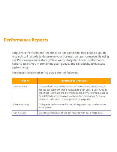 standard company performance report