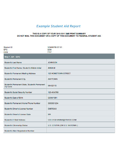 student aid report