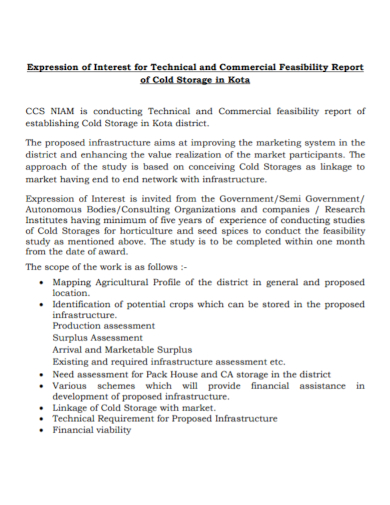 technical commercial feasibility report