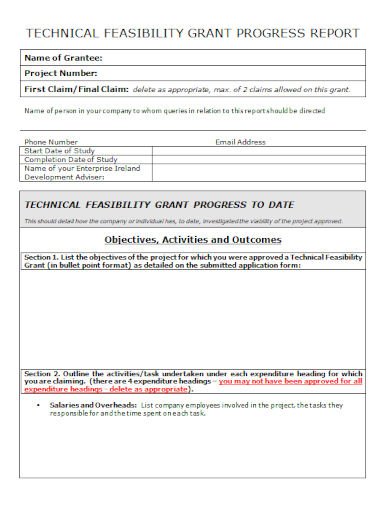technical feasibility grant progress report