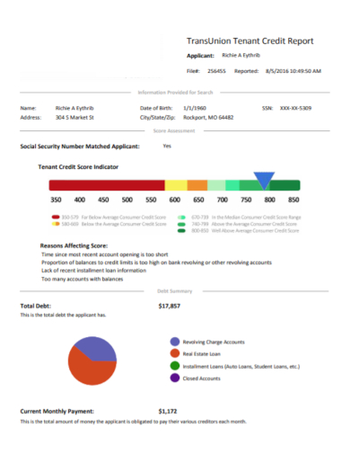 FREE 9 Transunion Credit Report Samples Unfreeze Business Codes 