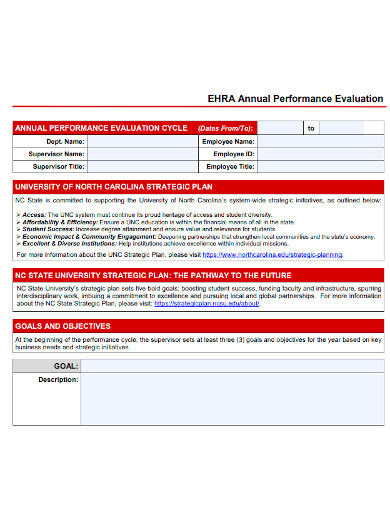 annual performance evaluation form