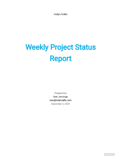 blank project weekly status report