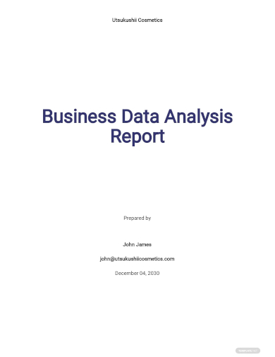 business data analysis report template