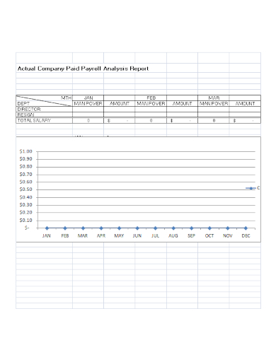 company payroll analysis report
