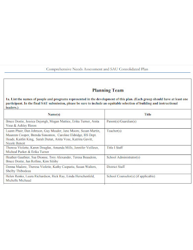 comprehensive needs assessment plan