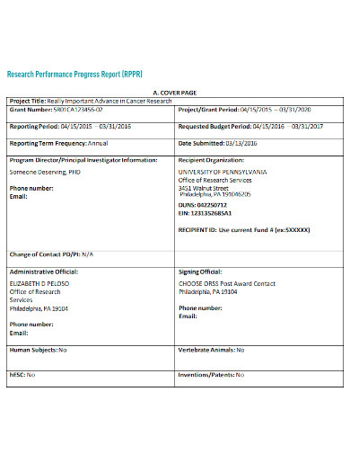 editable research performance progress report