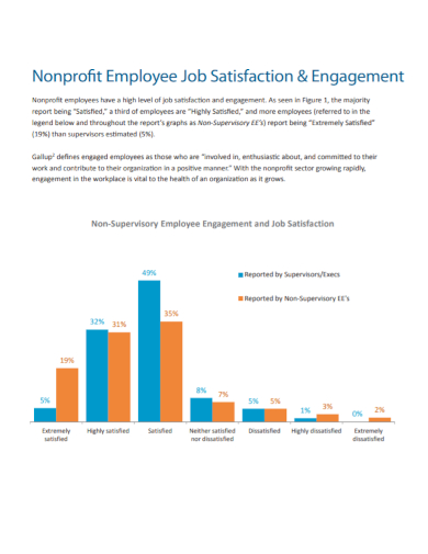 employee job satisfaction engagement report