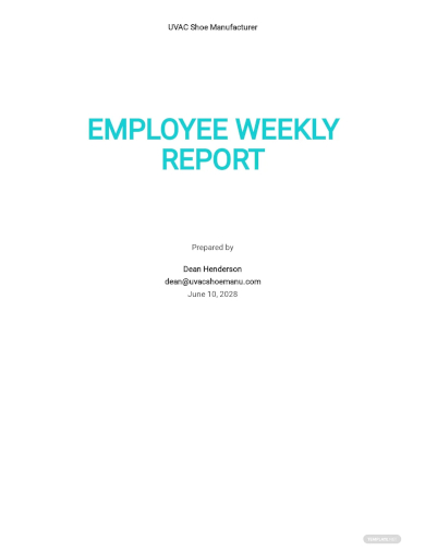 employee weekly report template