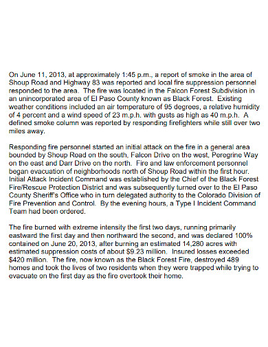 forest fire investigation report