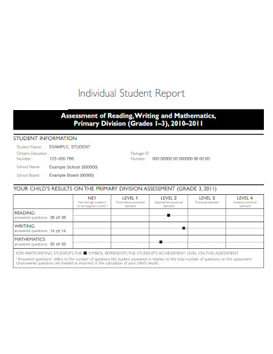 formal individual student report