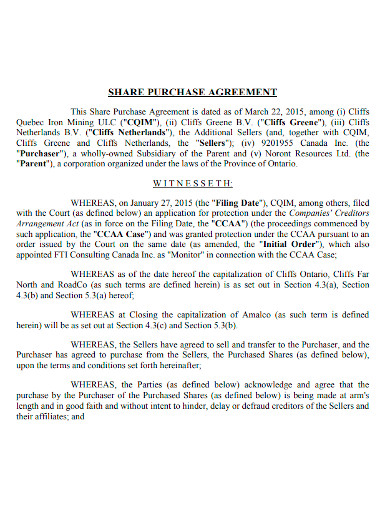 formal share purchase agreement