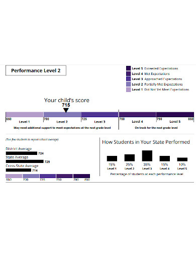 individual student performance report